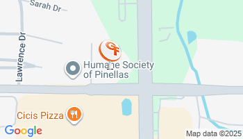 Safety Harbor, FL Boat Insurance Agency